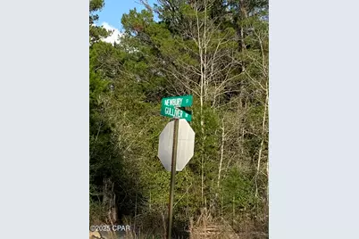 Lot 8 Gulliver Drive, Chipley, FL 32428 - Photo 1