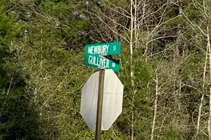 Lot 8 Gulliver Dr, Chipley, FL 32428 - Photo 1