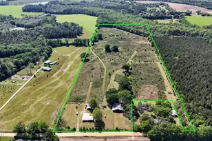 1116 New Bayview Church Rd, Bonifay, FL 32425 - Photo 1