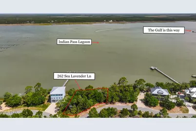 262 Sea Lavender Lane #Lot 20, Port Saint Joe, FL 32456 - Photo 1