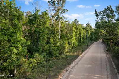 Xxx Skipper Road, Vernon, FL 32462 - Photo 1