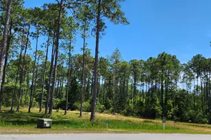 7644 Coastal Hammock Trail, Panama City Beach, FL 32413 - Photo 1