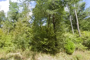 0 Plantation Circle, Marianna, FL 32446 - Photo 1