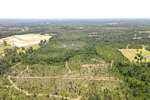 0 Betlehem Rd, Cottondale, FL 32431 - Photo 1