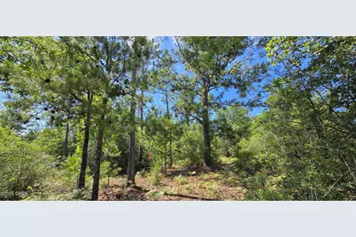 0 Joy Avenue, Marianna, FL 32448 - Photo 1