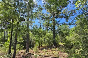 0 Joy Ave, Marianna, FL 32448 - Photo 1