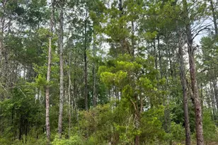 00 Fawnridge Dr, Chipley, FL 32428 - Photo 1