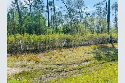 8942 County Road 386, Wewahitchka, FL 32465 - Photo 1