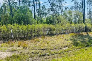 8942 Co Rd 386, Wewahitchka, FL 32465 - Photo 1