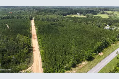 00 Douglas Ferry Road, Chipley, FL 32428 - Photo 1