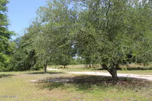 5929 Nichols Rd, Bascom, FL 32423 - Photo 1