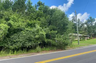 3131 4th St, Marianna, FL 32446 - Photo 1