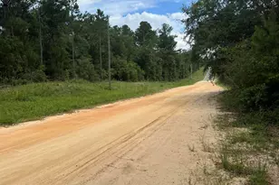 25 Aster Circle, Marianna, FL 32448 - Photo 1