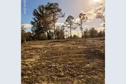 Tbd Sunny Hills Boulevard, Chipley, FL 32428 - Photo 1