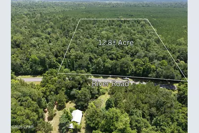 0 River Rd. Road, Bascom, FL 32423 - Photo 1