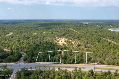 Xxx Sunny Hills Boulevard, Chipley, FL 32428 - Photo 1