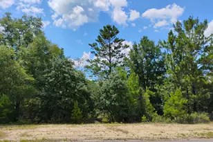 Lot 32 Concord Blvd, Chipley, FL 32428 - Photo 1