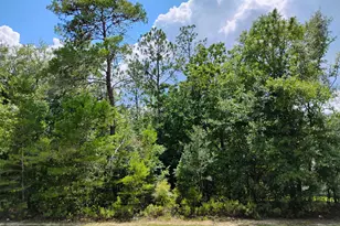 Lot 3 Shenandoah Blvd, Chipley, FL 32428 - Photo 1