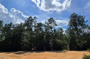 Lot 2 Jackson Rd, Marianna, FL 32448 - Photo 1