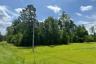 0000 Meadowview Road Rd, Marianna, FL 32446 - Photo 1
