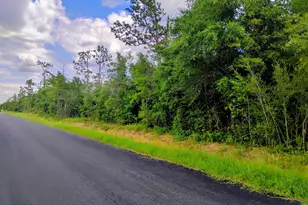 0 W Linger Longer Rd, Youngstown, FL 32466 - Photo 1