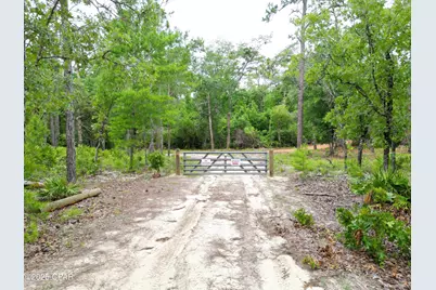 Tbd Lowery Acres Road, Hosford, FL 32334 - Photo 1