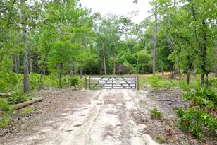 Tbd Lowery Acres Rd, Hosford, FL 32334 - Photo 1