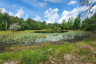 7617 Green Rd, Sneads, FL 32460 - Photo 1