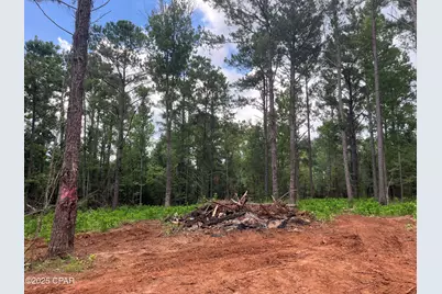 2852 Lovewood Drive, Cottondale, FL 32431 - Photo 1