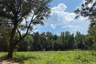 0 Bonnet Pond Rd, Cottondale, FL 32431 - Photo 1