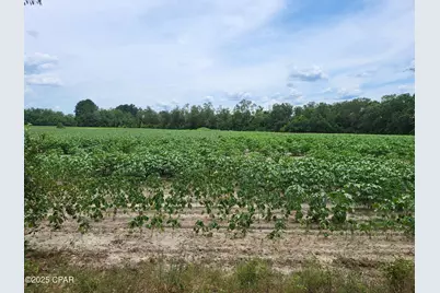 000 Joiner Road, Chipley, FL 32428 - Photo 1