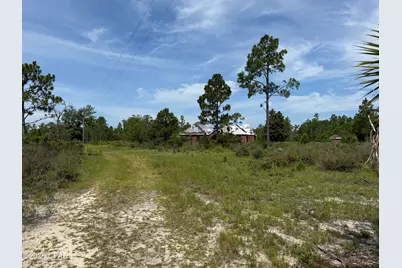 19660 NW Alice Vreeland Road, Altha, FL 32421 - Photo 1