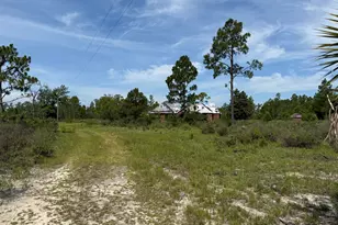 19660 NW Alice Vreeland Rd, Altha, FL 32421 - Photo 1