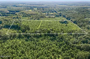 Xxx Birch Rd, Graceville, FL 32440 - Photo 1