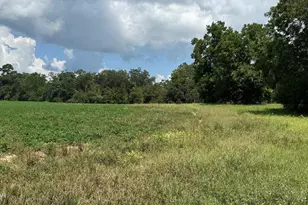 2183 Hwy 73, Marianna, FL 32448 - Photo 1