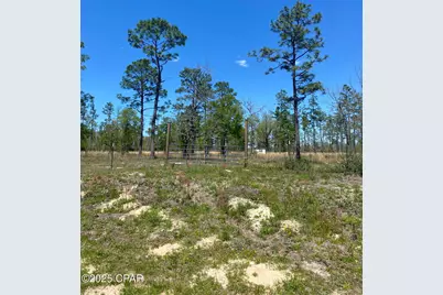 12601 E Highway 20, Fountain, FL 32438 - Photo 1