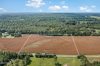 Xxx Trawick Place, Chipley, FL 32428 - Photo 1