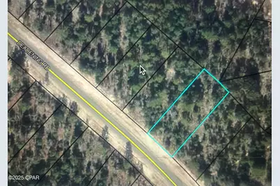 00 Deadening Road, Chipley, FL 32428 - Photo 1
