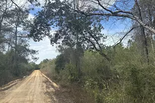 Tract#6301 W Love Rd, Bonifay, FL 32425 - Photo 1