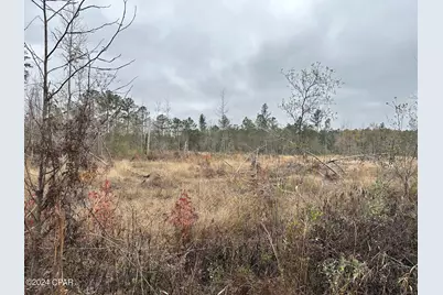 Tract#6402 S Chance Road, Chipley, FL 32428 - Photo 1