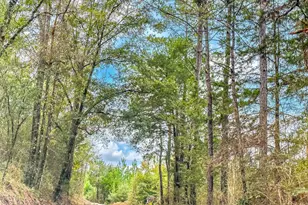 Tract 6418 NW Bryant Bay Road Mattox Springs Rd, Caryville, FL 32427 - Photo 1