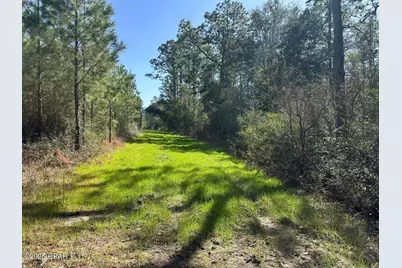 Tract#6416 S Douglas Ferry Road, Caryville, FL 32427 - Photo 1