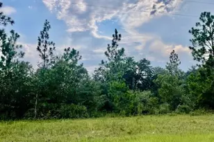 A Nortek Blvd, Marianna, FL 32448 - Photo 1