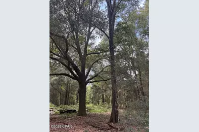 4600 Pine Grove Church Road, Quincy, FL 32351 - Photo 1