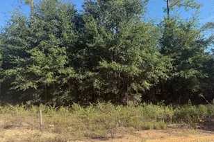 Xxx Finch Circle, Chipley, FL 32428 - Photo 1