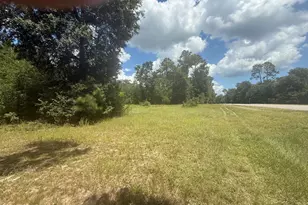 00 Blue Springs Rd, Greenwood, FL 32443 - Photo 1