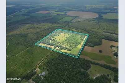 00 Blue Springs Road, Greenwood, FL 32443 - Photo 1