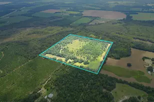 00 Blue Springs Rd, Greenwood, FL 32443 - Photo 1