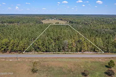 000 Hwy 162 (Tri County Road), Bonifay, FL 32425 - Photo 1