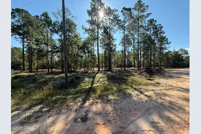 00 Adams Drive, Alford, FL 32420 - Photo 1